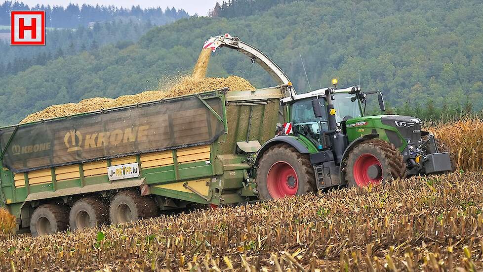 Mais XXL 2020 | J-Reiff | Fendt 936 S5 | Claas Jaguar | Big Corn Silage