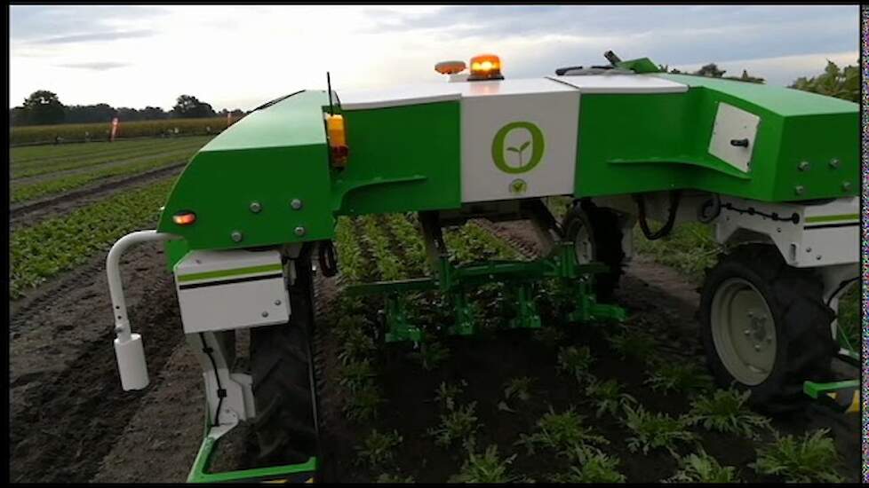 Schoffelrobots Oz en Dino van Na&iuml;o Technologies