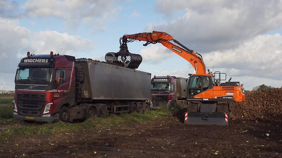 Loonbedrijf Ellen en transportbedrijf Wigchers in de suikerbieten