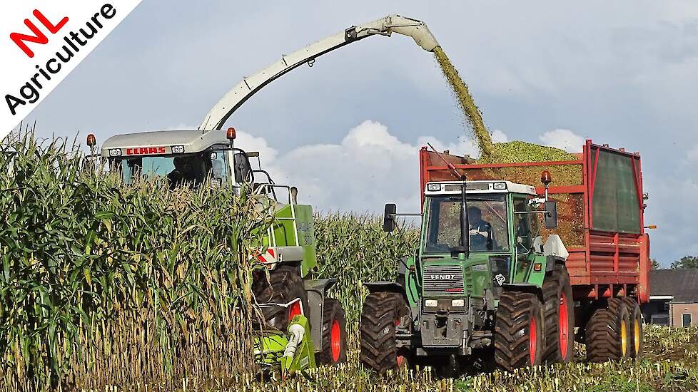 Mais hakselen 2020 ● Claas Jaguar 870 ● Fendt Farmers ● Donkersteeg ● Kootwijkerbroek.