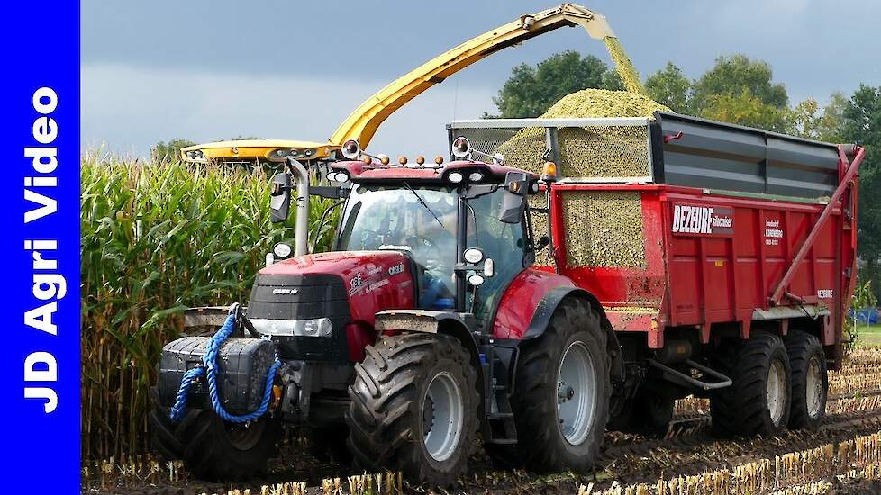 Mais 2020 | New Holland FR9050 + Case IH Puma + Dezeure | H.Korenberg | Maishakselen | Maize harvest