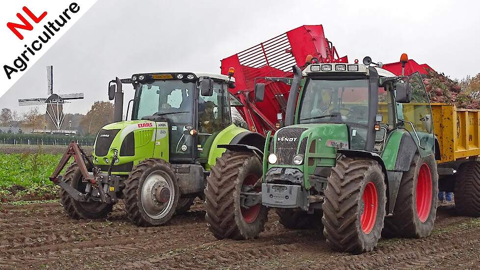 Beet harvest 2020 ● Claas Arion 540 + TIM M III SA TE-120 ● Voederbieten rooien ● Brouwer.
