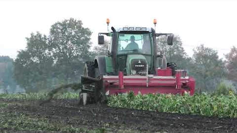 BIETEN ROOIEN 2020 FENDT 415 / 714 / 720 /818 GILLES IN TWEE FASEN SUIKERBIETEN ROOIEN