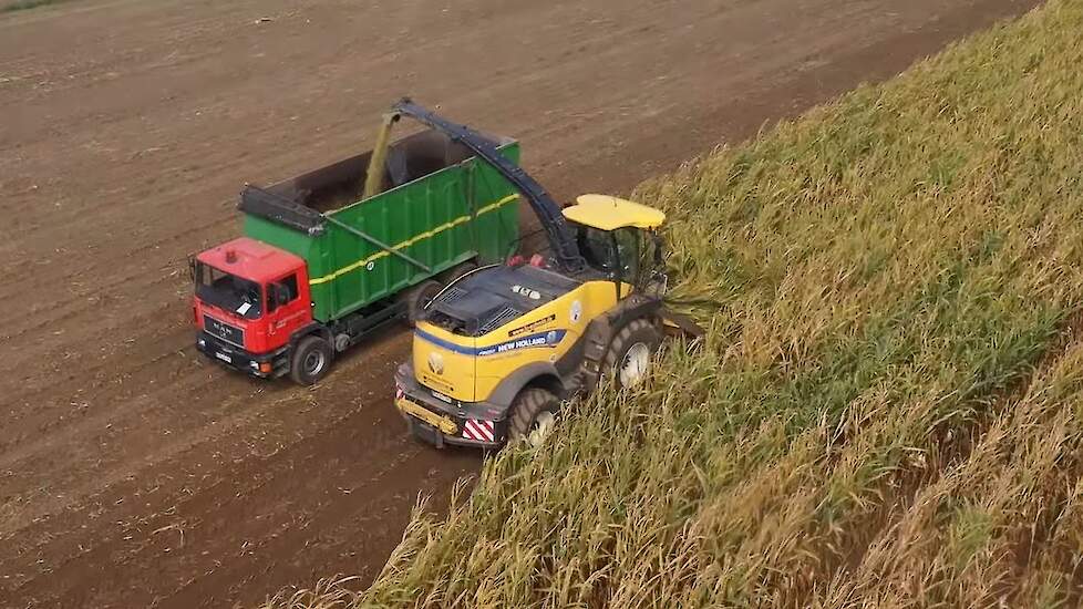 Biogas XXL Maissilage New Holland FR700, FR650, W170C