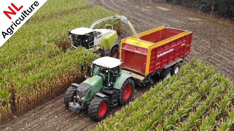 Mais hakselen 2020 ● Fendt 933 + 930 + 820 ● Claas Jaguar 940 ● Bergmann ● Schuitemaker ● Geresteijn