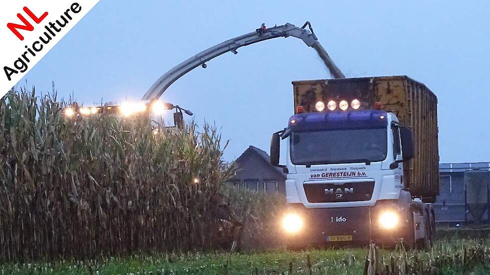 Mais hakselen 2020 ● Claas Jaguar 940 ● MAN Truck + Fendt + Claas + Bergmann ● Geresteijn ● Uddel.