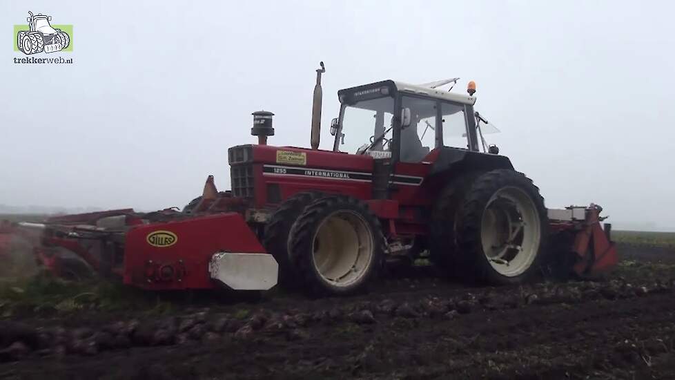 International 1255 Twee fasen bietenrooien Gilles en WKM