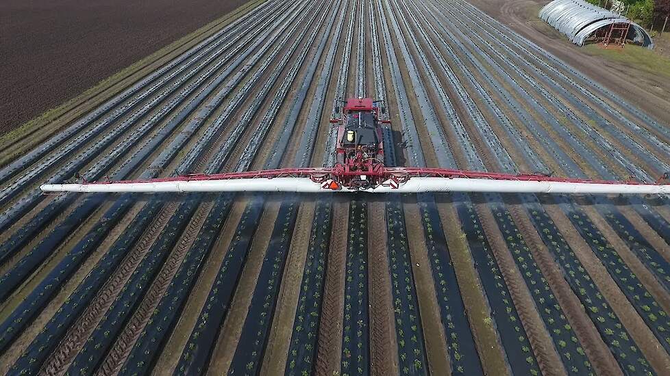 Hardi HeroW H430 JAMA Aardbei BV