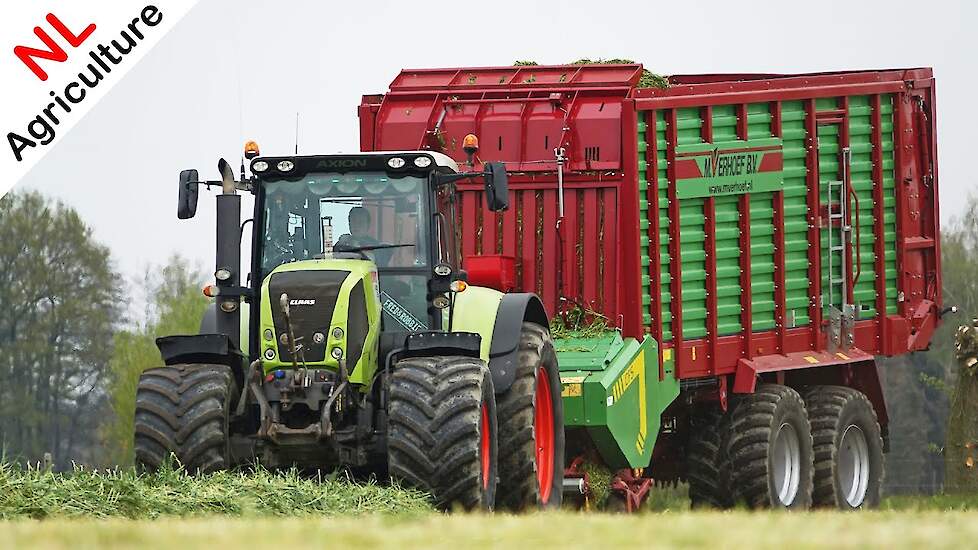 2021 | Fast Spring Rye Silage | Snelle Lente Rogge oprapen | Claas Axion 820 en Strautmann | Verhoef