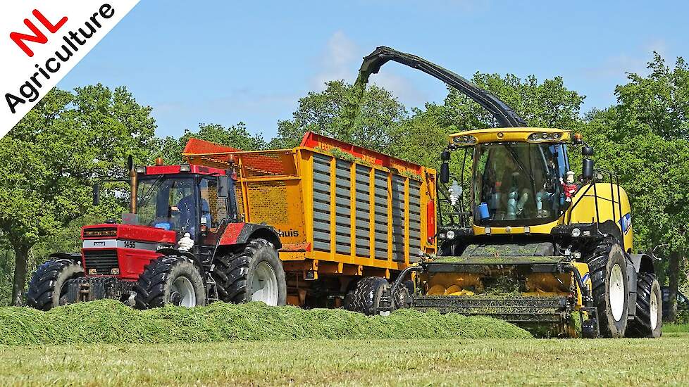 2021 | Gras hakselen met New Holland en Case IH International | Nap