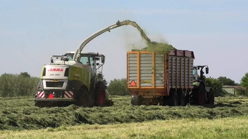 GRAS HAKSELEN MET EEN CLAAS JAGUAR 940 FENDT 718 VEENHUIS SILAGEWAGEN