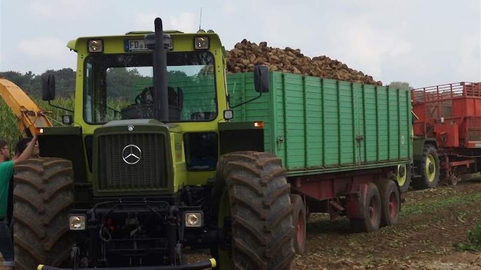 MB-Trac voederbieten transport en rooien Nordhorn  Duitsland -Trekkerweb