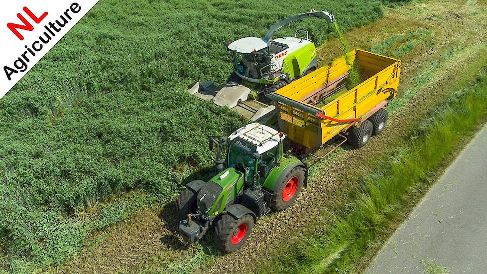 2021 | GPS hakselen met Claas Jaguar en Fendt | Geresteijn + P. van den Hardenberg