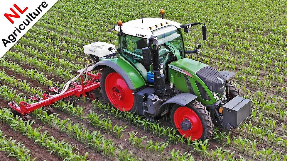 2021 | Mais schoffelen & Vanggewas onderzaaien met Fendt | Schimmel Overberg