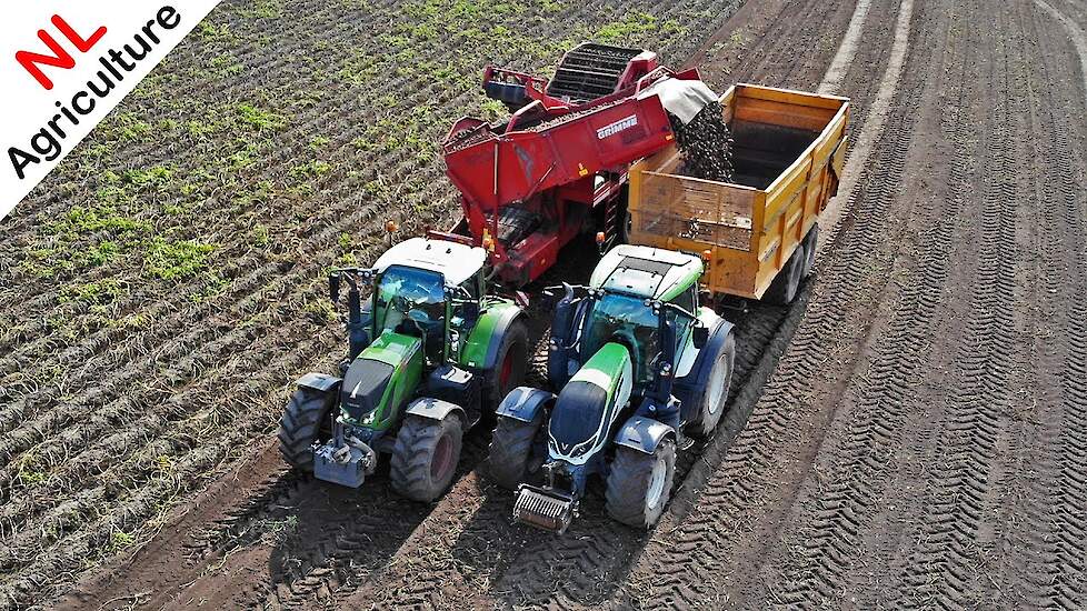 Aardappels rooien met Fendt en Grimme | Donkersgoed | 2021