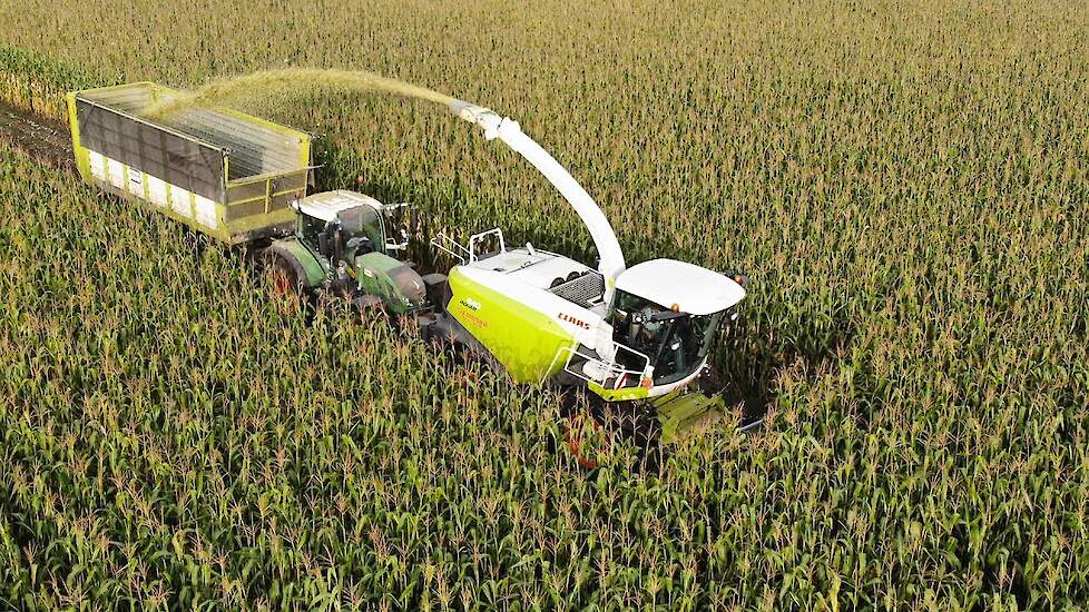 Mais hakselen 2021 met Claas Jaguar en Fendt | Gerritsen | DEEL 1