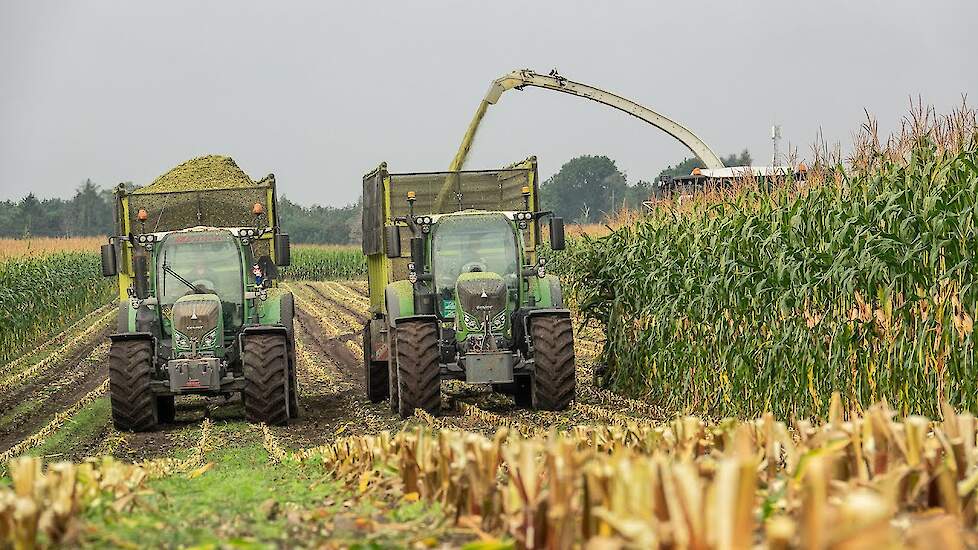 The first Mais Silage of 2021 | Fendt 724 Vario & 720 Vario