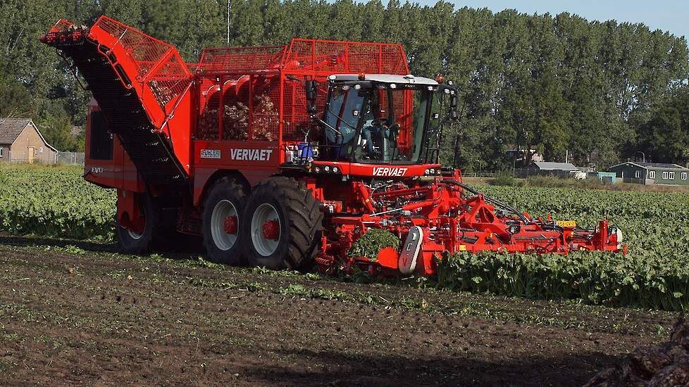 Vervaet Evo Beet Eater 925 Fuhler Loon- en verhuurbedrijf