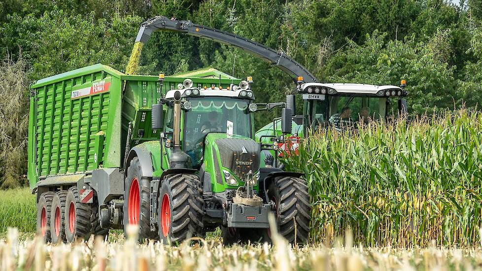 Mais Silage 2021 with Fendt Katana 650 + Fendt's | BMWW