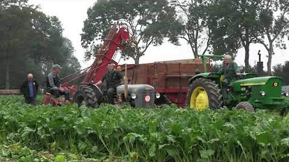 BIETEN ROOIEN MET OLTIMERS FERGUSON 35 JOHN DEERE 1120