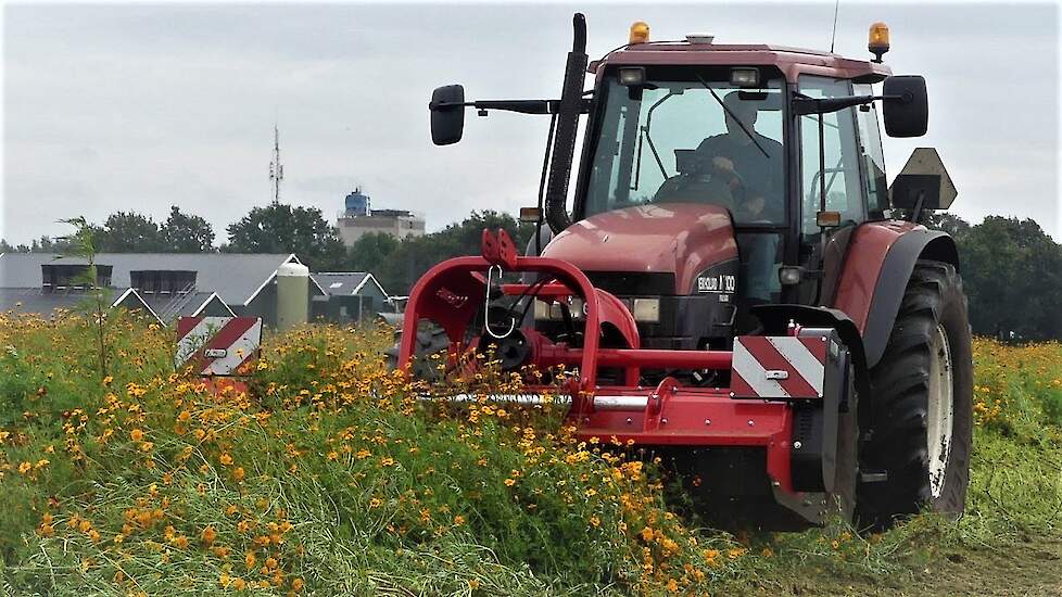 Zware omstandigheden bij het Tagetes klepelen New Holland M100 en Tehnos profi MU 300 LW