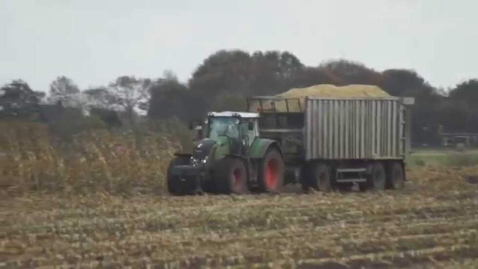 Fendt 828 met Fliegl aanhanger in het maïstransport Trekkerweb