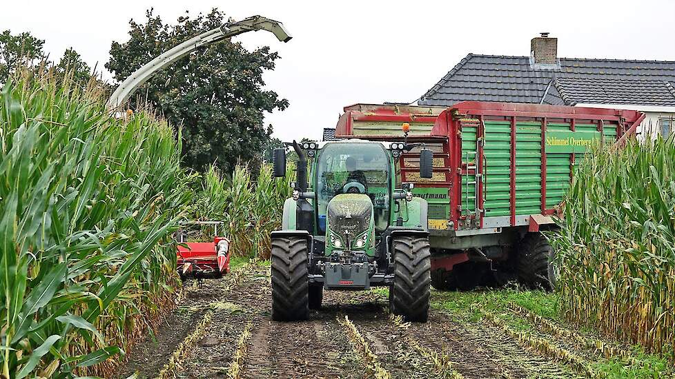 Mais Silage 2021 with Claas Jaguar + Fendt + John Deere | Schimmel Overberg