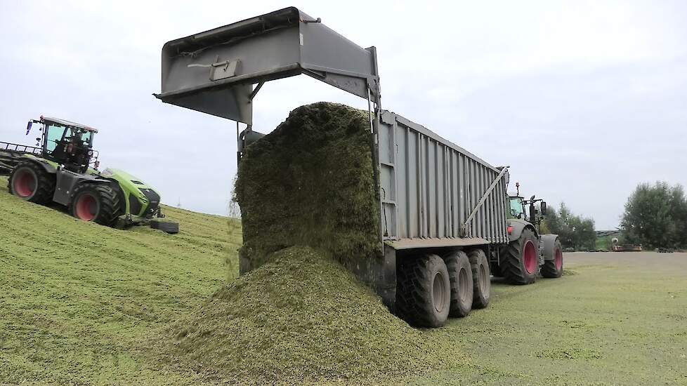 MAISKUIL 2021 CLAAS XERION 4000 FENDT