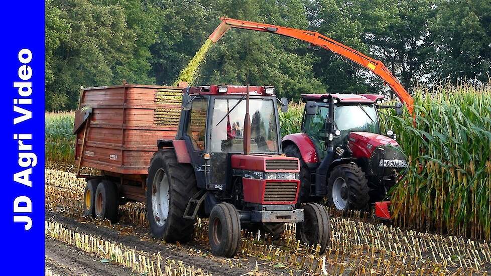 Mais 2021 | Case International 745Xl-844Xl-845XL-1455Xl | Mais Silage | Busweiler | Mais Hakselen
