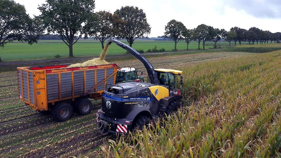 New Holland FR650 60th Anniversary Limited Edition van loonbedrijf Dunnink