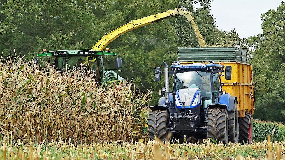 Mais Silage 2021 with John Deere + New Holland + Fendt + Case IH | Moesbergen