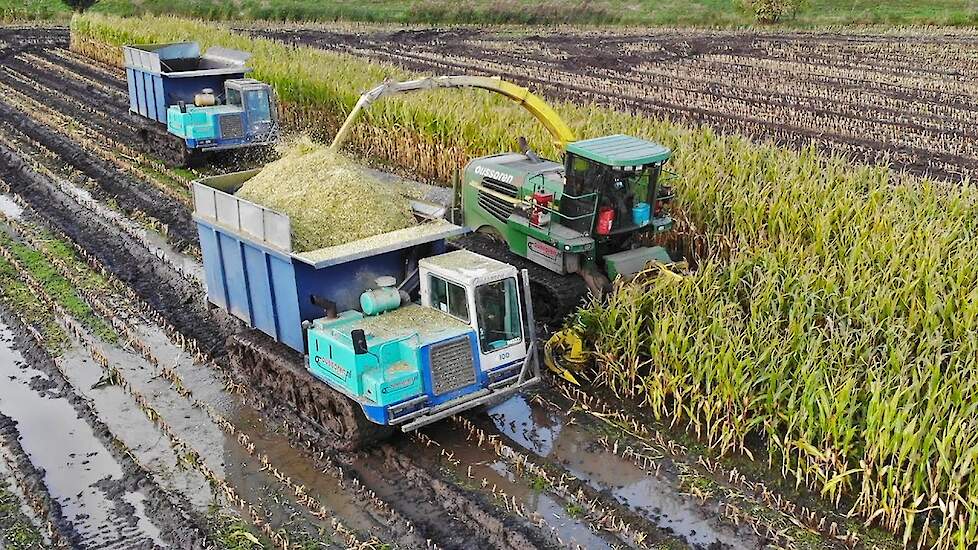 Mais Silage 2021 In The Mud with John Deere on Tracks | Oussoren