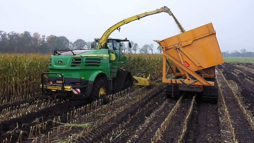 John Deere 8400i op rupsen in de snijmaïs