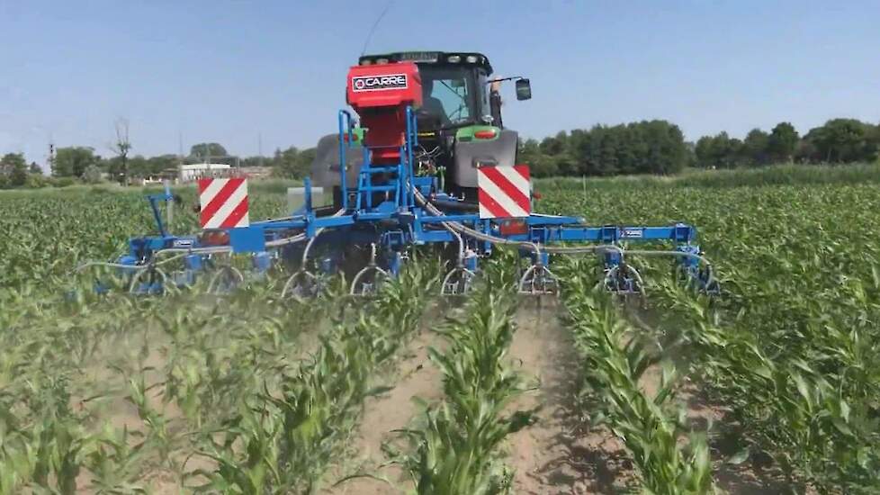 Carr&eacute; mechanischeonkruidbestrijding ma&iuml;s onderzaai