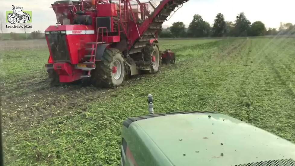 Rooien op de zeeuwse klei