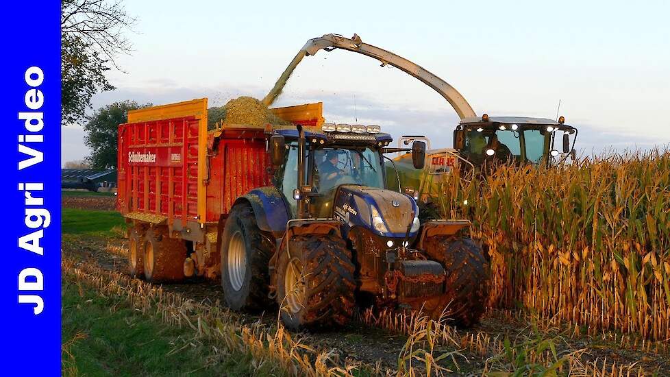 Mais 2021 | Claas | New Holland T7070 + T7.230 | Gebr. Westera Zalk | Mais Silage | Mais Hakselen