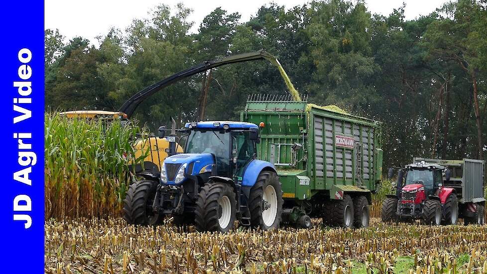 Mais 2021 | New Holland FR700 + MF + John Deere | LU Droste Raesfeld | Mais Silage | Mais hakselen