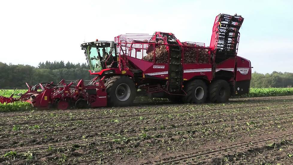 BIETEN ROOIEN 2021 GRIMME REXOR 6300 PLATINUM JOHN DEERE 7 R 350 CLAAS AXION 960 VGM
