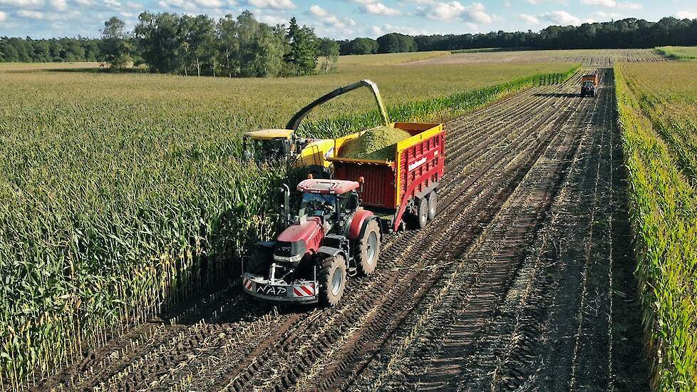 Mais Silage 2021 with New Holland + Case IH + Valtra | Nap
