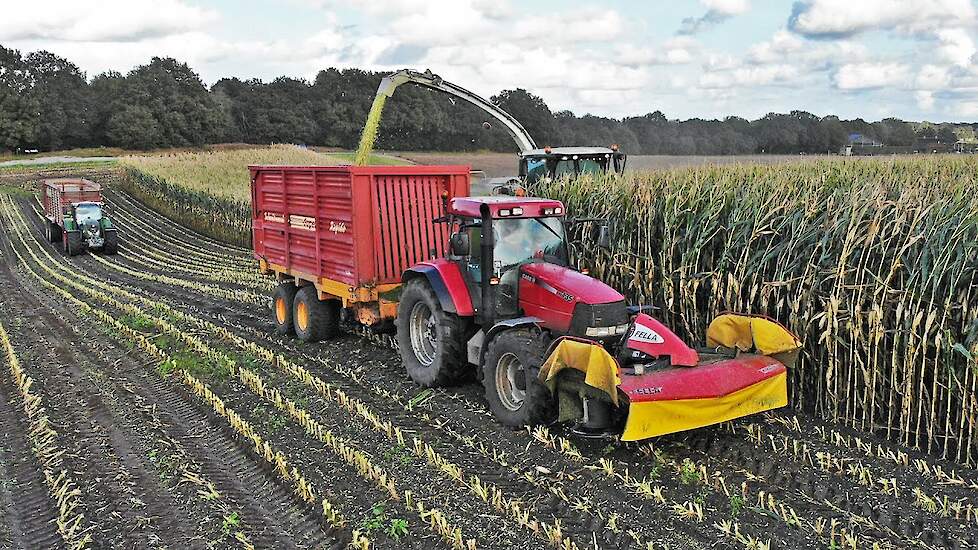 Mais Silage 2021 with Claas Jaguar + John Deere + Fendt | Schimmel Overberg