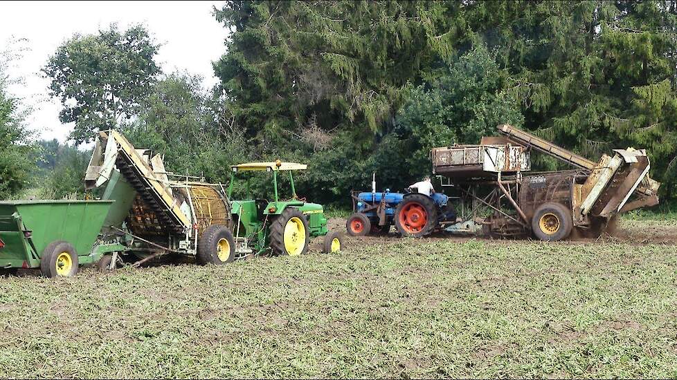Voormalers rooien voor Avebe met oldtimers