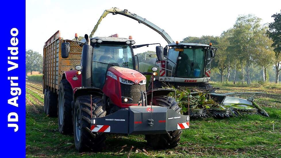 Mais hakselen | Claas Jaguar 950 + 3x Massey Ferguson | Wopa Zieuwent | Mais Silage | 2021