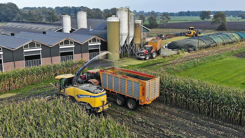 Mais Silage 2021 with New Holland + Case IH + JCB | Nap