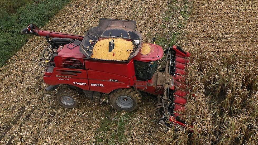 Case-IH Axial Flow 8250 aan het werk bij loonbedrijf Roovers