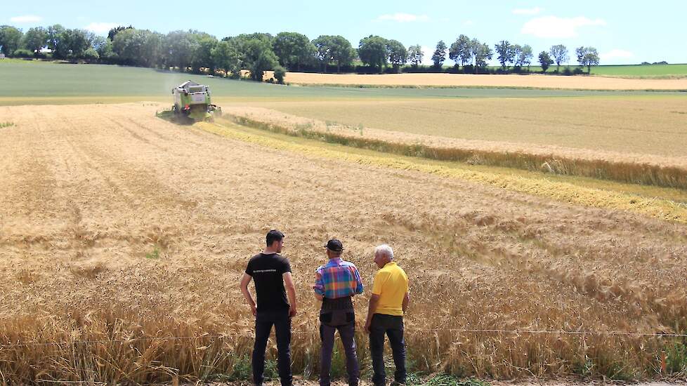 Zaterdag 2 juli oogst loonbedrijf Senden uit Ubachsberg bij Voerendaal voor de derde klant dit seizoen gerst.