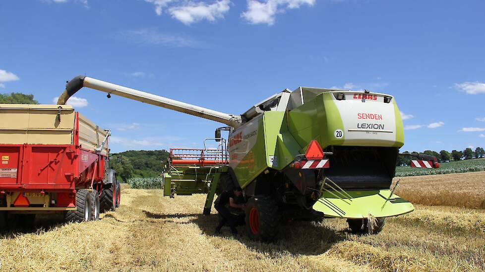 Ongeveer 8 ton oogst Senden hier van 1 hectare.