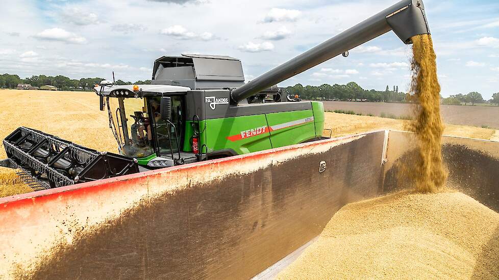 Volgens Vitelia zorgen de hoge graanprijzen ervoor dat het ook aantrekkelijker is voor Nederlandse boeren om graan te verbouwen.