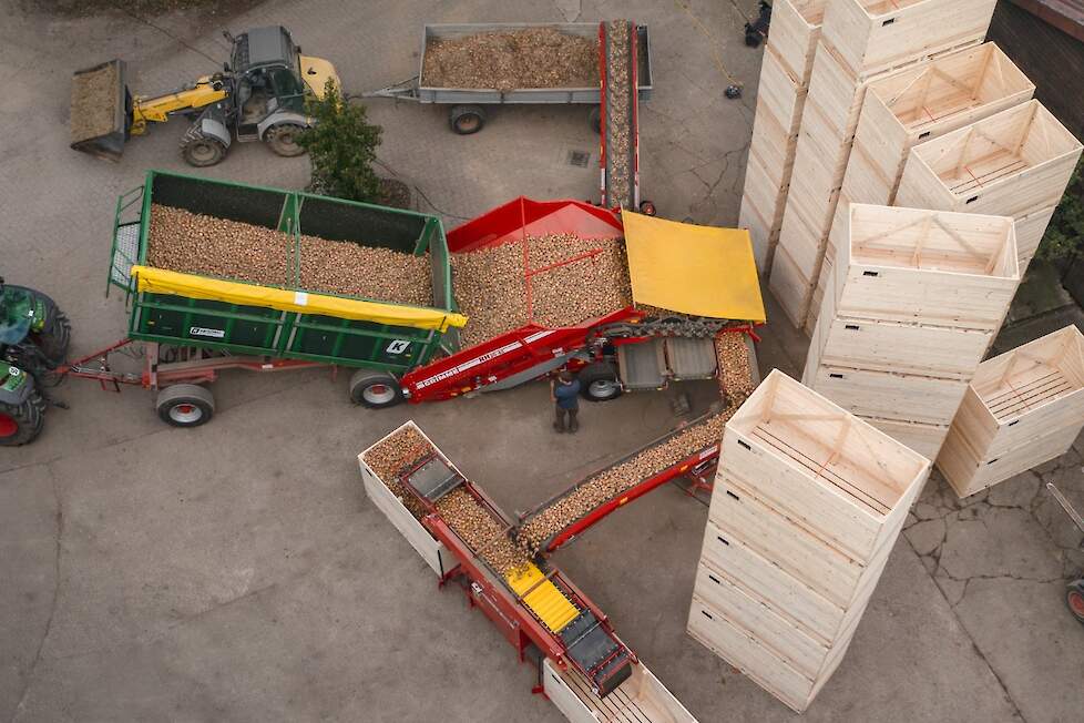 Bij het inschuren van uien komt het aan op zorgvuldigheid en productvriendelijk vullen van kisten.
