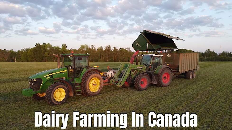 Dairy Farming In Canada ~ Harvesting alfafa