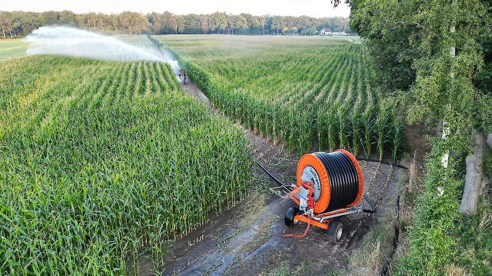 Mais beregenen vanwege droogte | Irrifrance Optima 1020 | 2022
